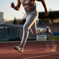 Jogger Terry Gris